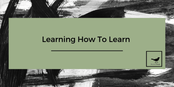 Learning How To Learn, learn how to master learning, music industry learning material, saralenaprobst.com, Blog about Music, Music Blog, BlackbirdPunk, Blackbirdpunk Consulting, Digital Consulting for the Music Industry, music industry digital entertainment agency, Berlin, berlin, digital, work digital, freelancer digital music industry,